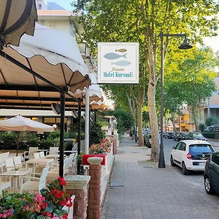 Hotel Piccolo Kursaal 3*