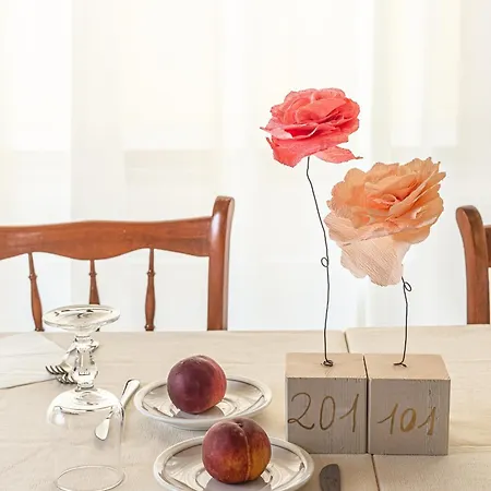 Hotel Piccolo Kursaal 3*